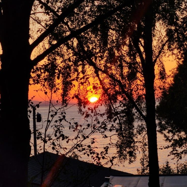 WhatsApp Image 2025-01-29 at 06.32.